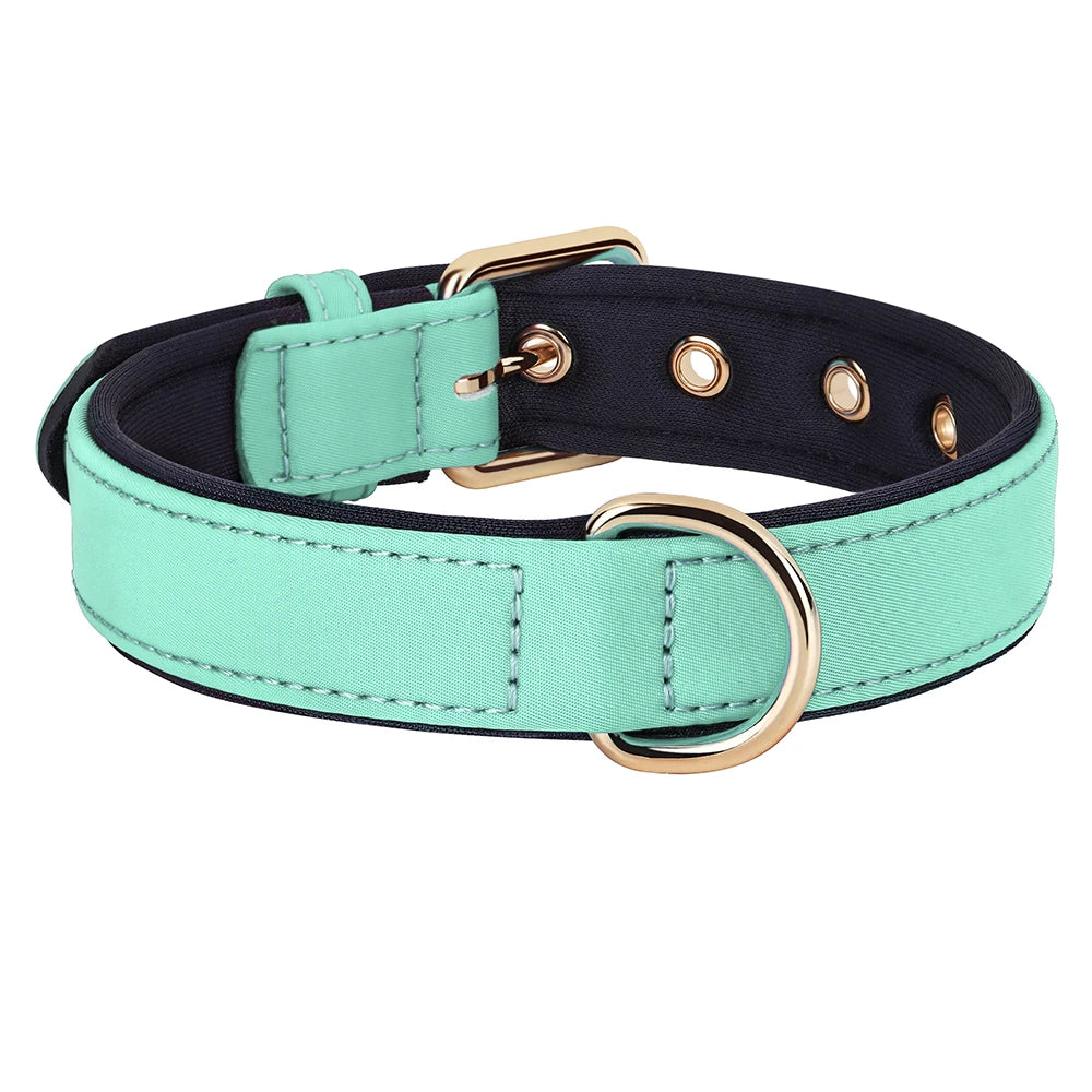 Waterproof Dog Collar | Comleet