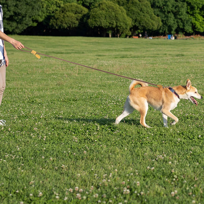 Hands-Free Dog Leash