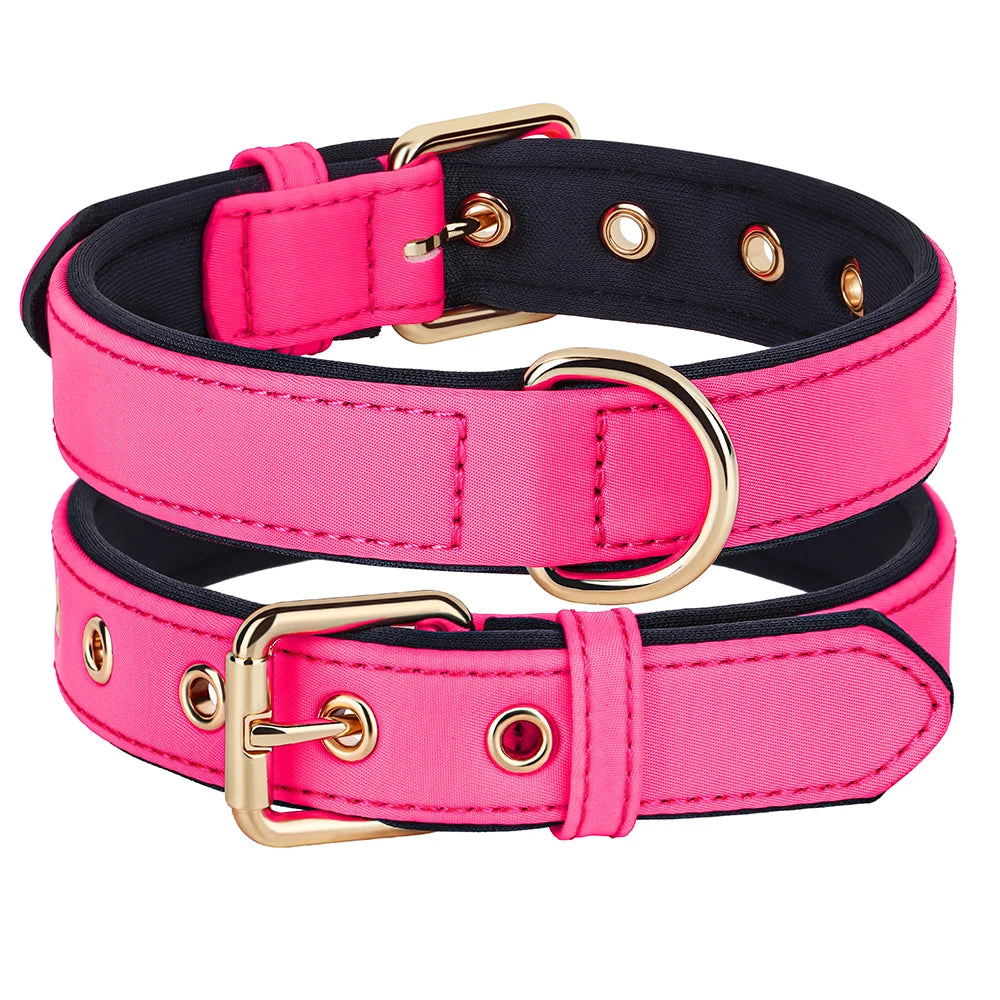 Waterproof Dog Collar | Comleet