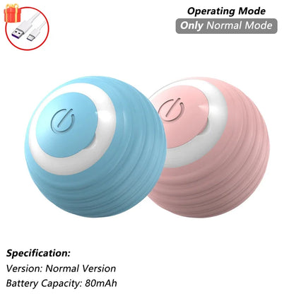 Cat Interactive Ball Toy | Comleet