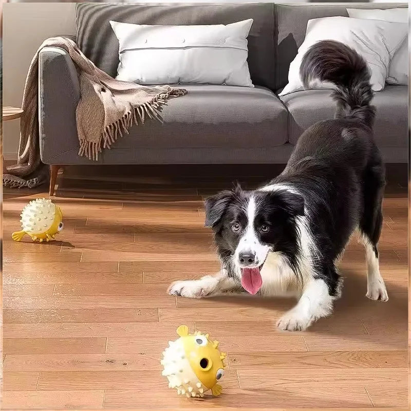 Hands-Free Dog Leash | Comleet