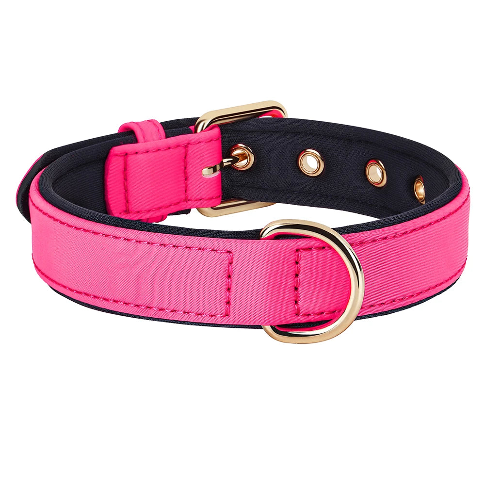 Waterproof Dog Collar | Comleet