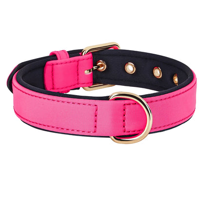 Waterproof Dog Collar | Comleet