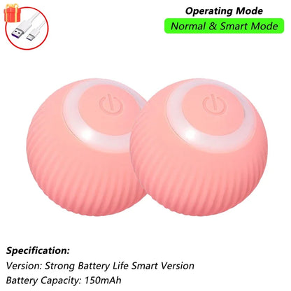 Cat Interactive Ball Toy | Comleet