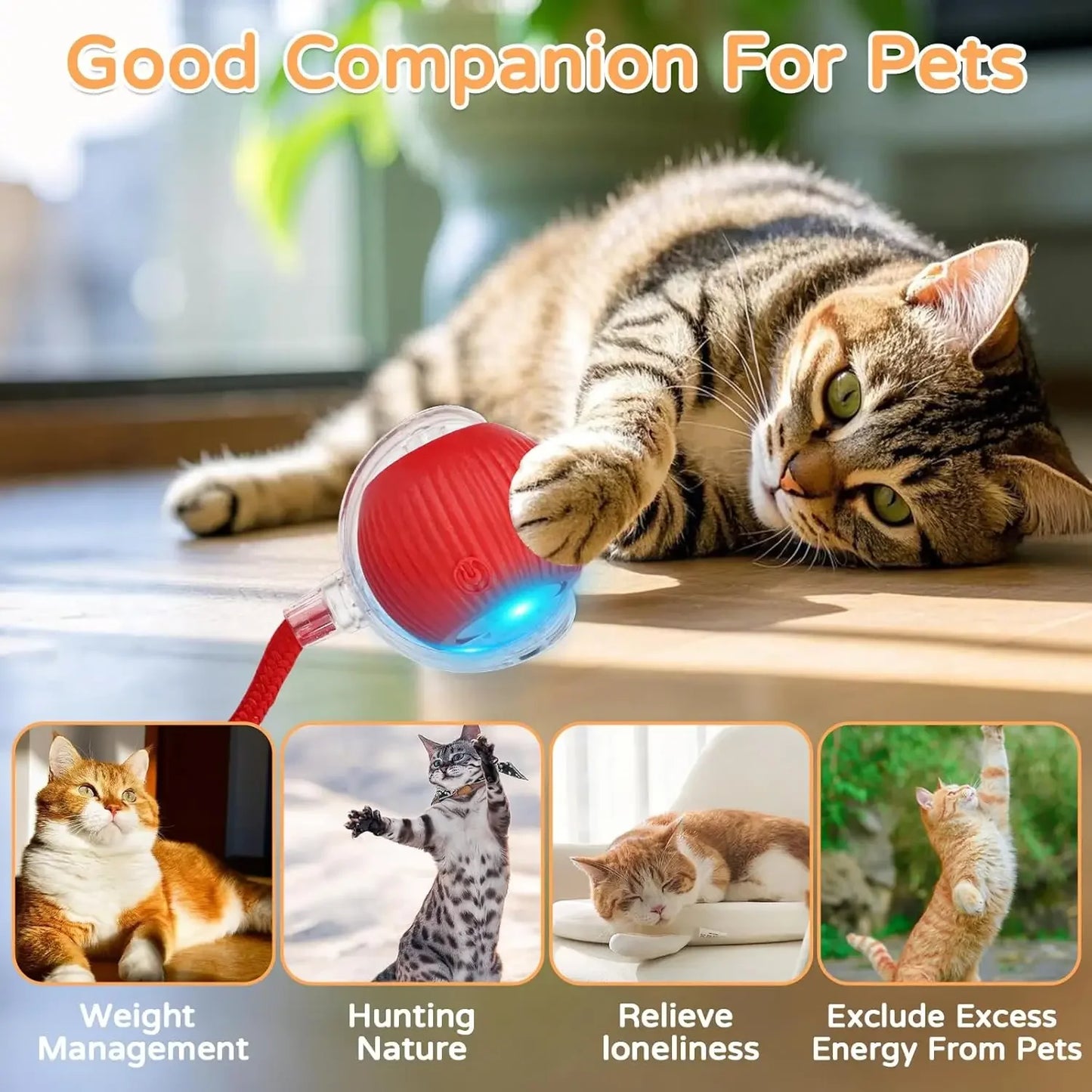 Cat Interactive Ball Toy | Comleet