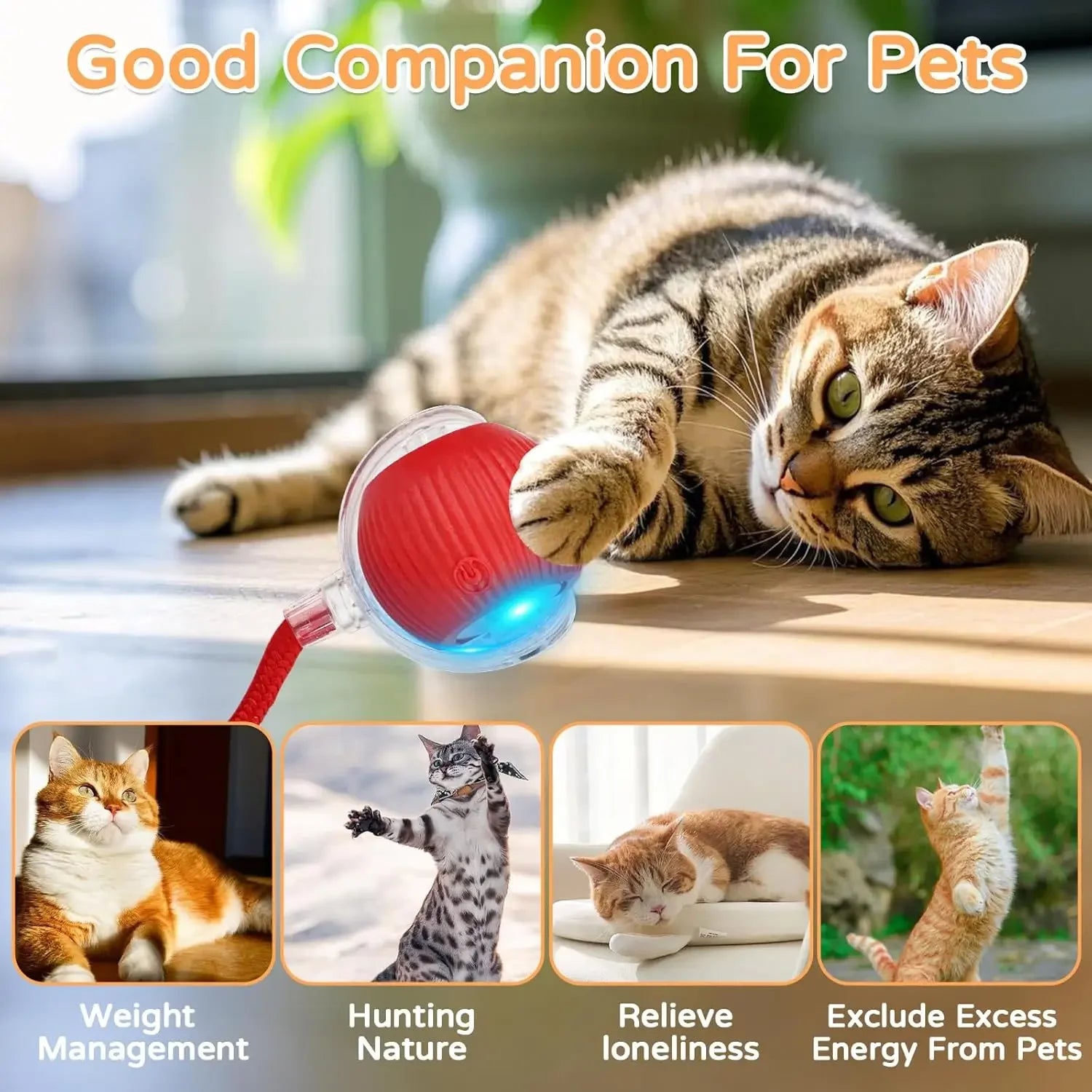 Cat Interactive Ball Toy | Comleet