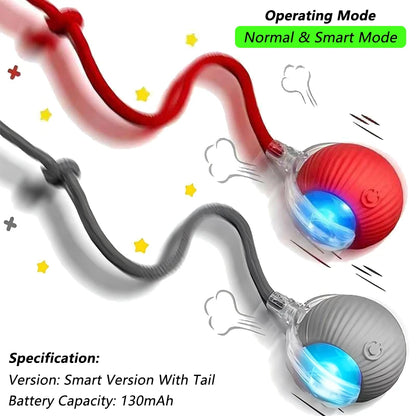 Cat Interactive Ball Toy | Comleet
