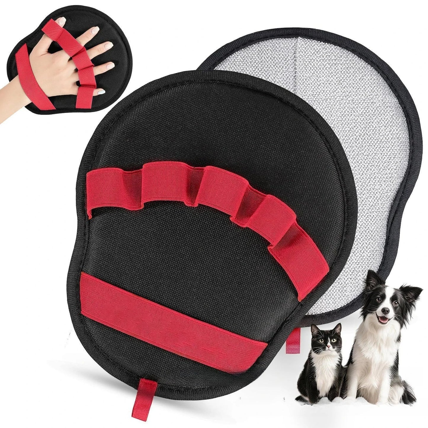 2-in-1 Pet Food & Water Dispenser | Comleet