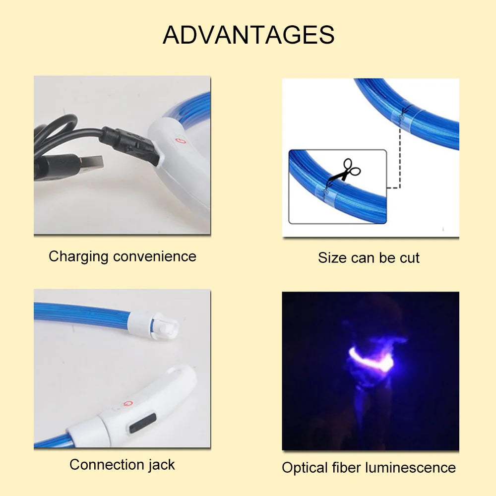 LED USB Dog Collar | Comleet