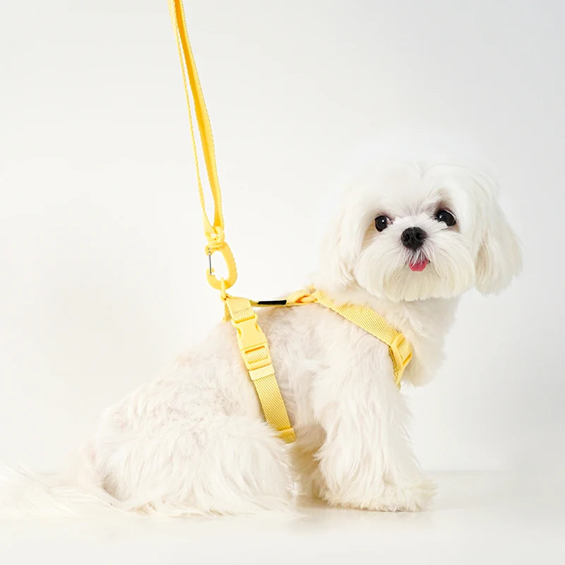 Macarone Dog Harness & Leash Set | Comleet