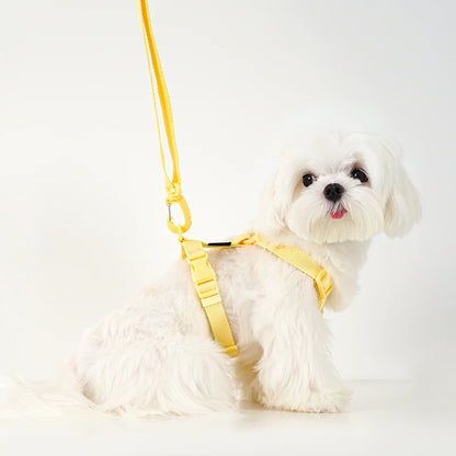 Macarone Dog Harness & Leash Set | Comleet