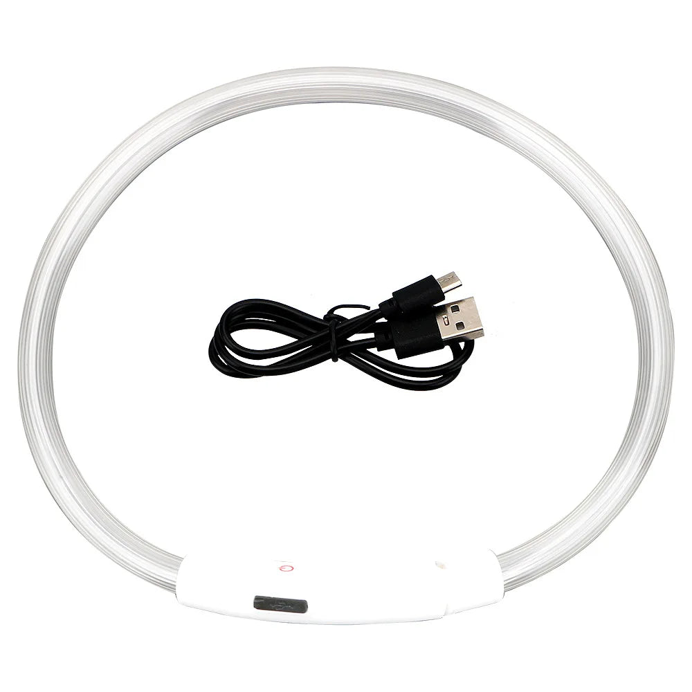 LED USB Dog Collar | Comleet
