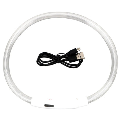LED USB Dog Collar | Comleet