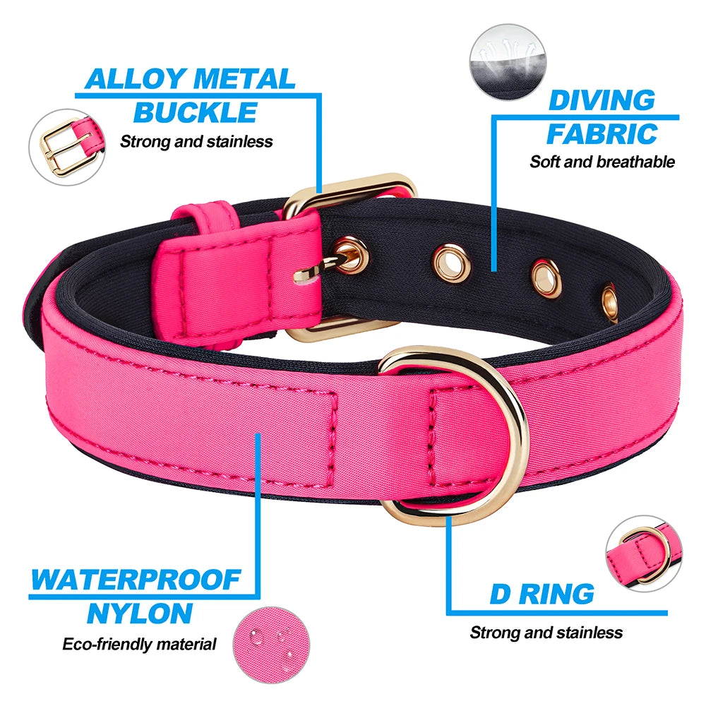 Waterproof Dog Collar | Comleet