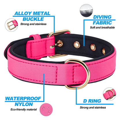 Waterproof Dog Collar | Comleet