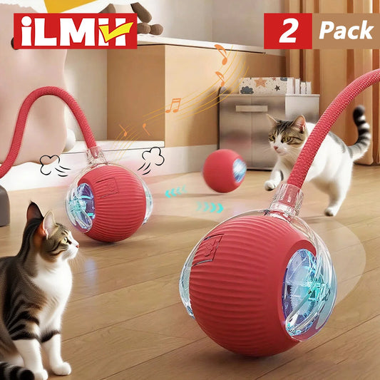 Cat Interactive Ball Toy | Comleet