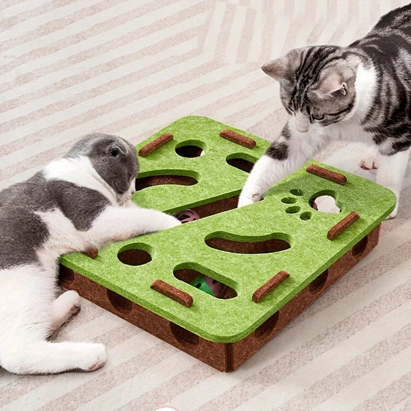 Cat Puzzle Toy | Comleet