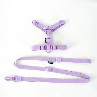 Macarone Dog Harness & Leash Set | Comleet