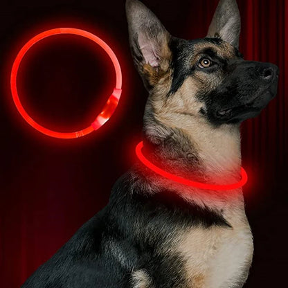 LED USB Dog Collar | Comleet