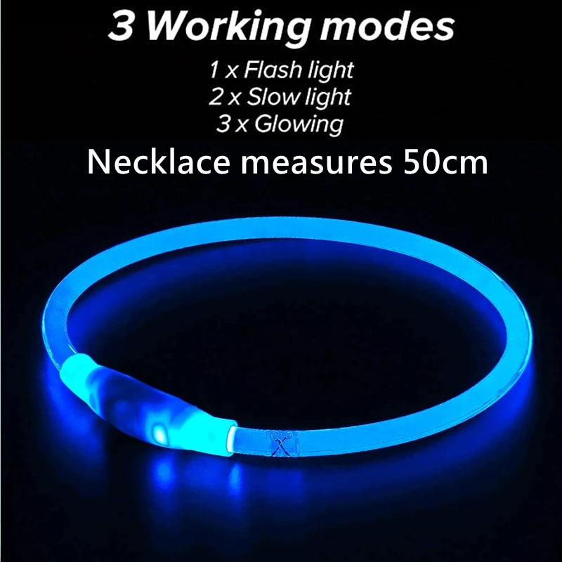 LED USB Dog Collar | Comleet