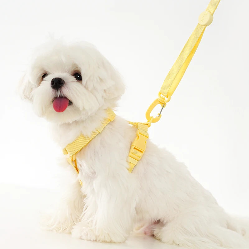 Macarone Dog Harness & Leash Set | Comleet