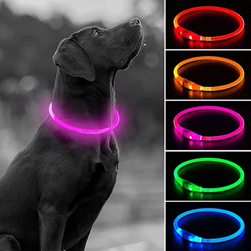 LED USB Dog Collar | Comleet