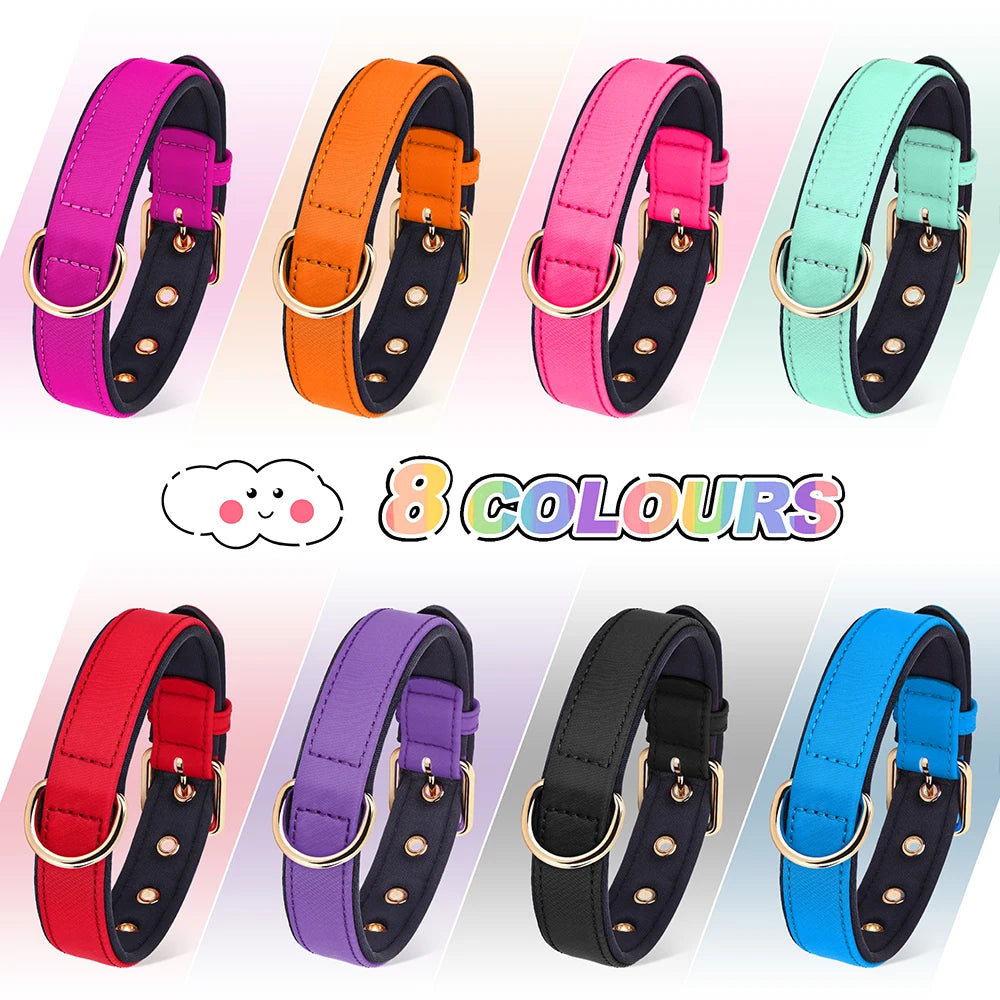 Waterproof Dog Collar | Comleet