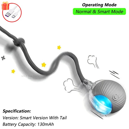 Cat Interactive Ball Toy | Comleet