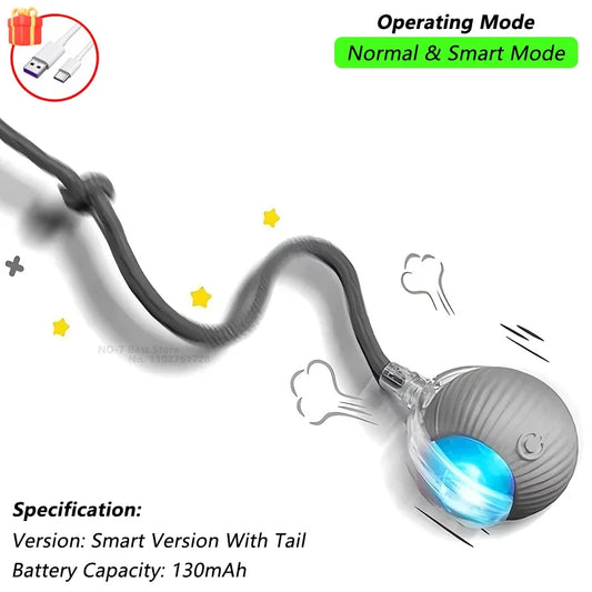 Cat Interactive Ball Toy | Comleet