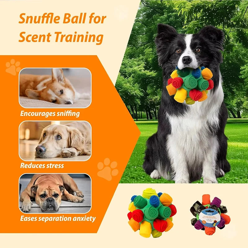 Dog Slow Feeder Bowl | Comleet