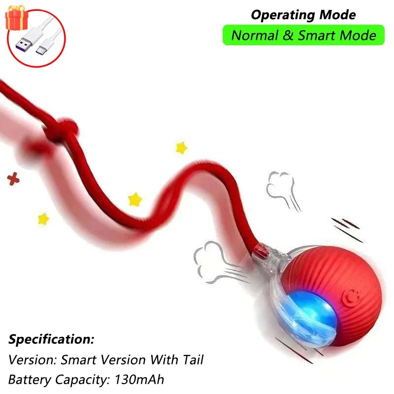 Cat Interactive Ball Toy | Comleet