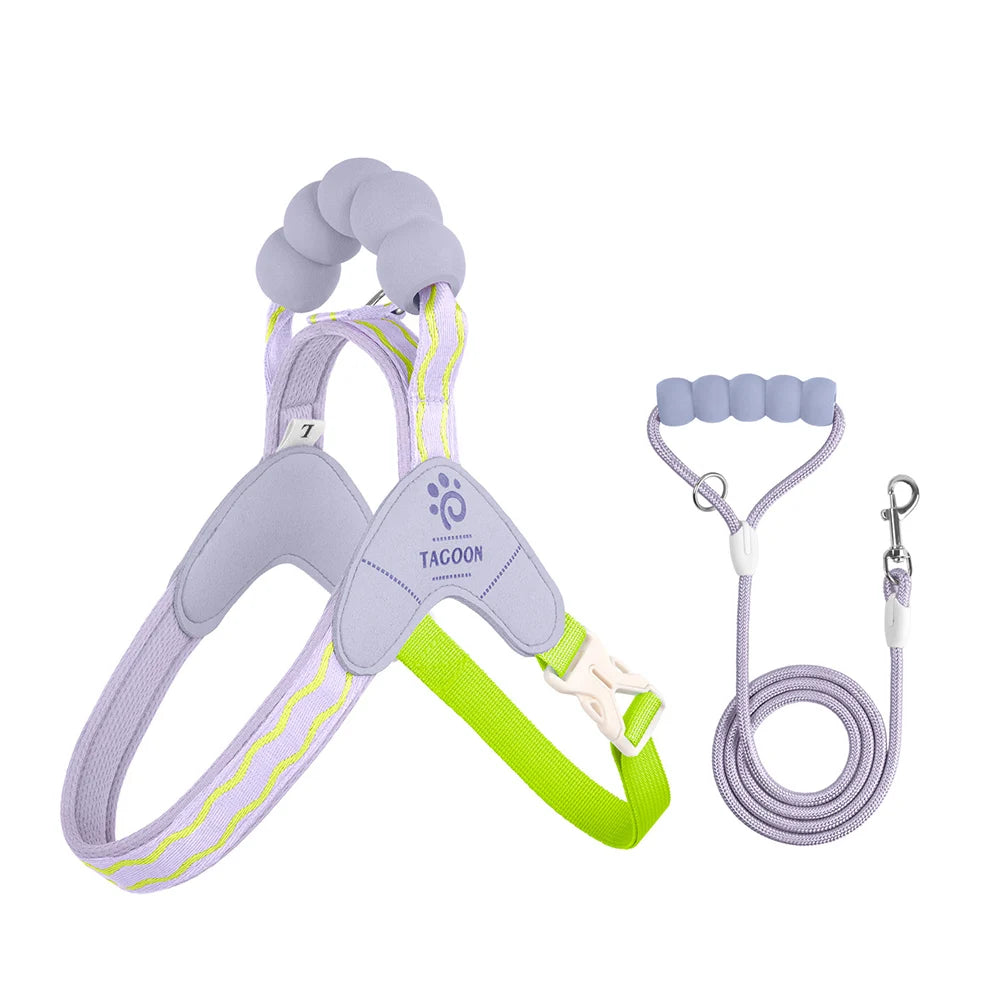Y-Style Dog Harness & Leash Set | Comleet