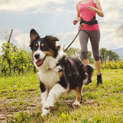 Hands-Free Dog Leash