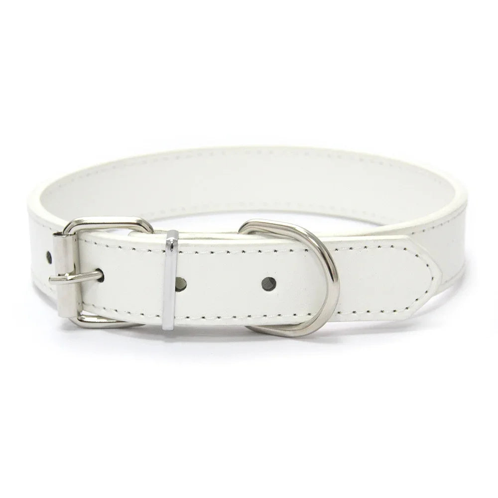 Leather Dog Collar | Comleet