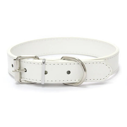 Leather Dog Collar | Comleet