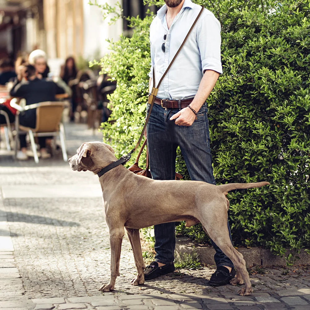 Hands-Free Dog Leash