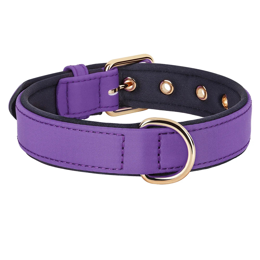 Waterproof Dog Collar | Comleet