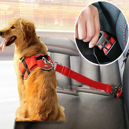 Honden Autogordel | Comleet