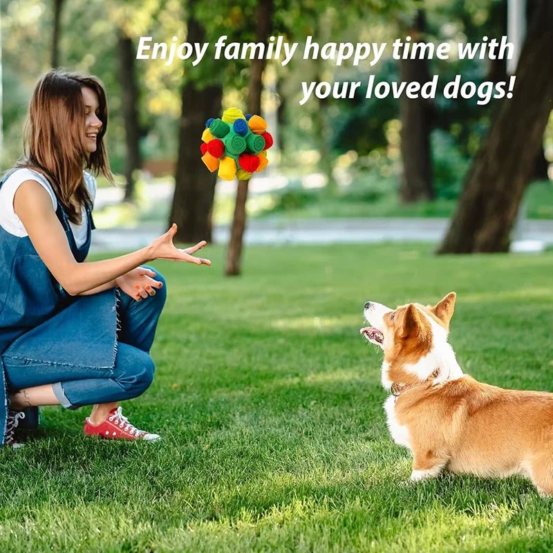 Dog Slow Feeder Bowl | Comleet