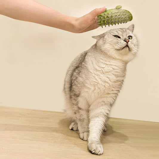 Kattenmassageborstel | Comleet