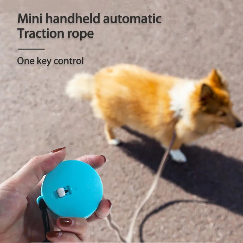 Retractable Dog Leash | Comleet