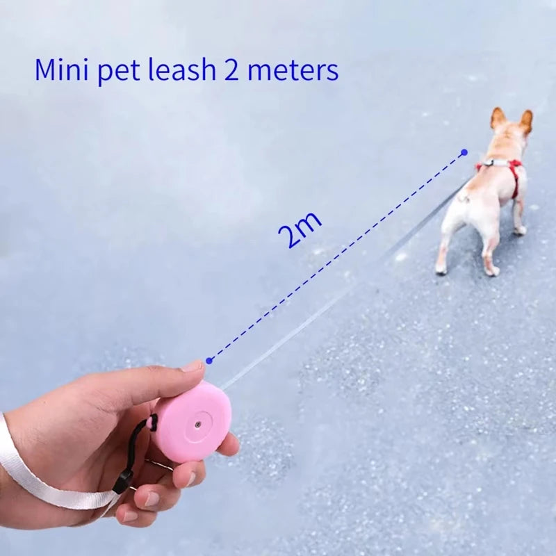 Retractable Dog Leash | Comleet