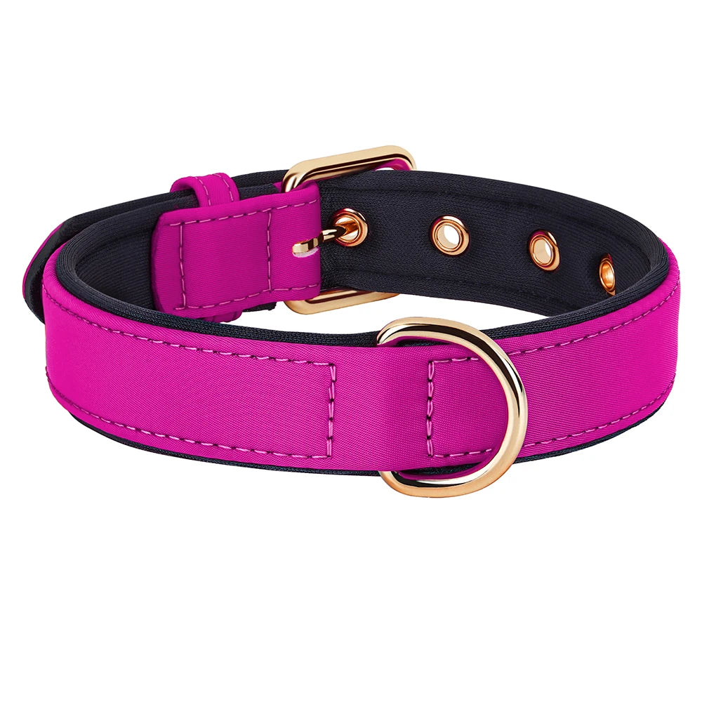 Waterproof Dog Collar | Comleet
