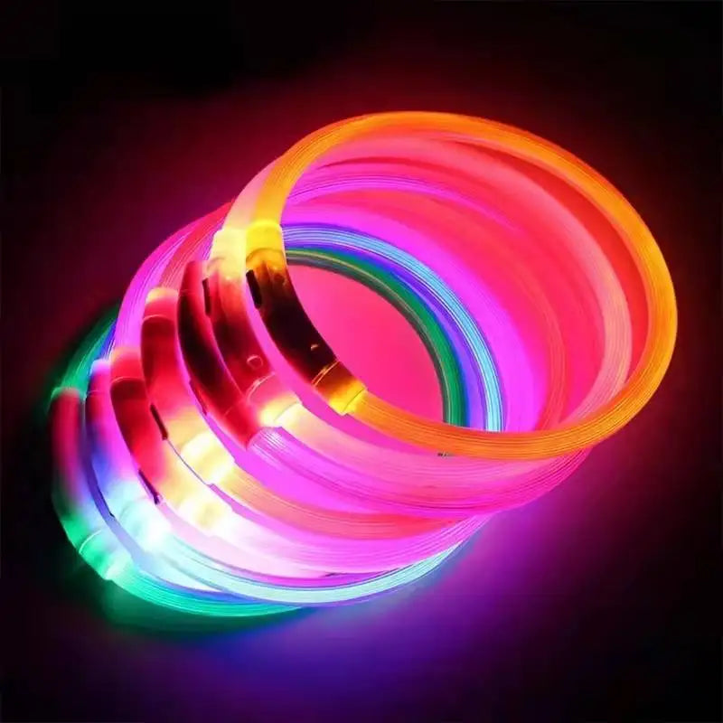 LED USB Dog Collar | Comleet