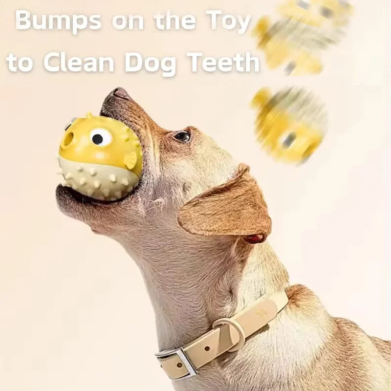 Hands-Free Dog Leash | Comleet