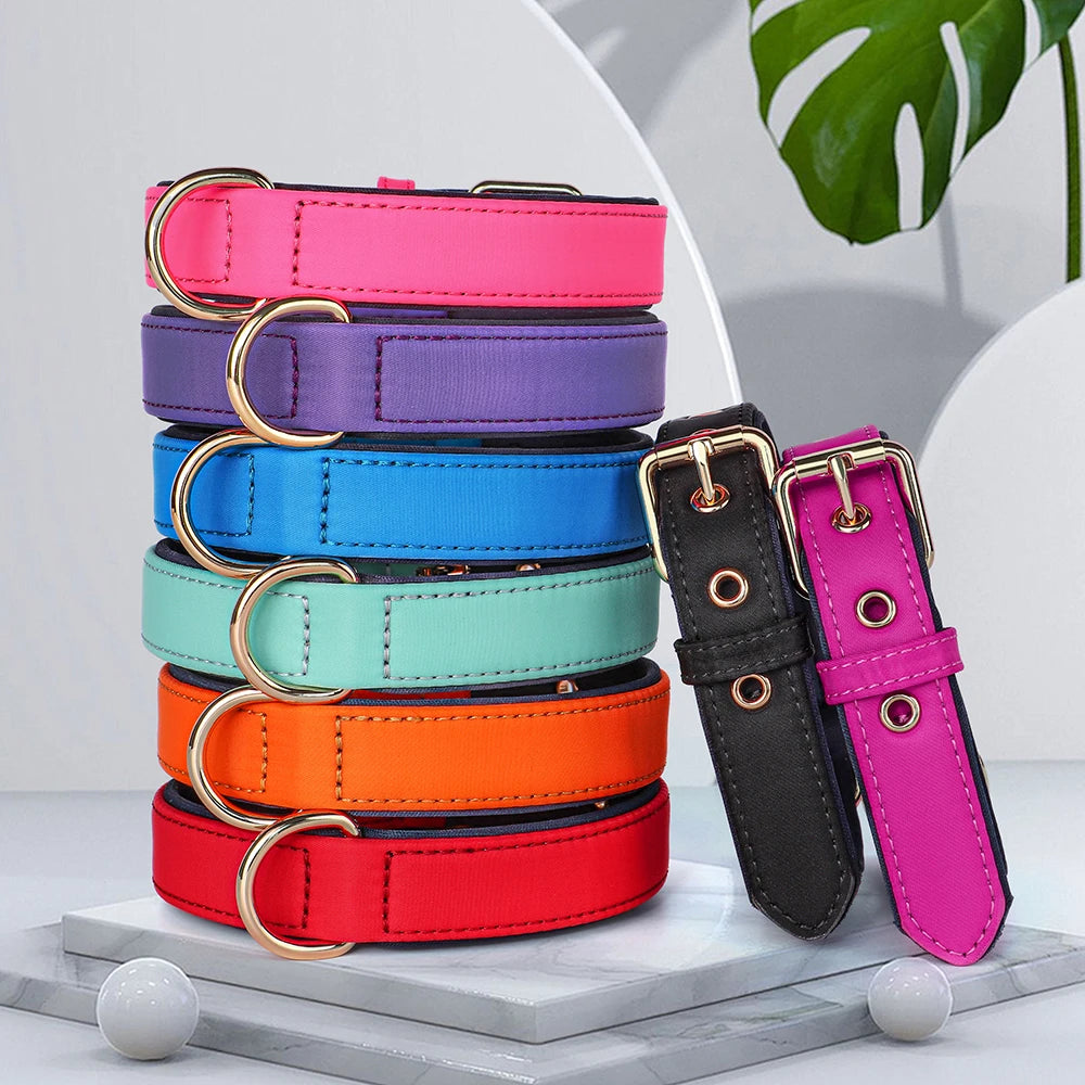 Waterproof Dog Collar | Comleet