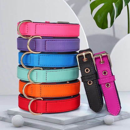 Waterproof Dog Collar | Comleet
