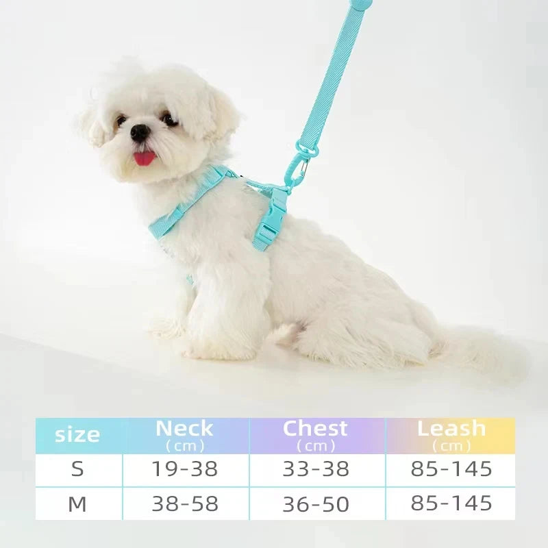 Macarone Dog Harness & Leash Set | Comleet