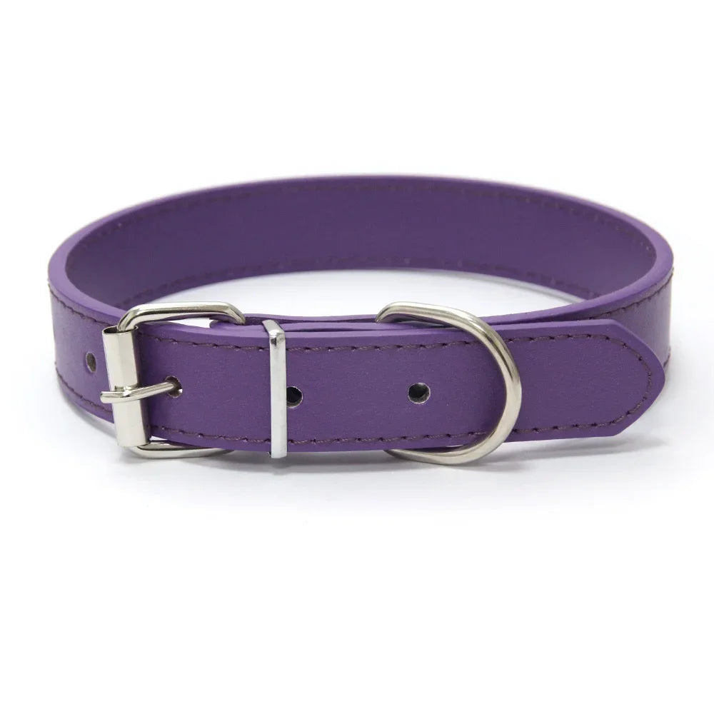 Leather Dog Collar | Comleet