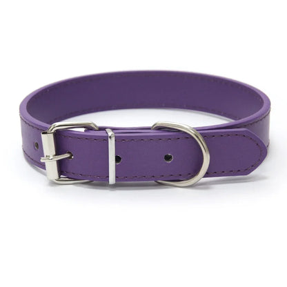 Leather Dog Collar | Comleet